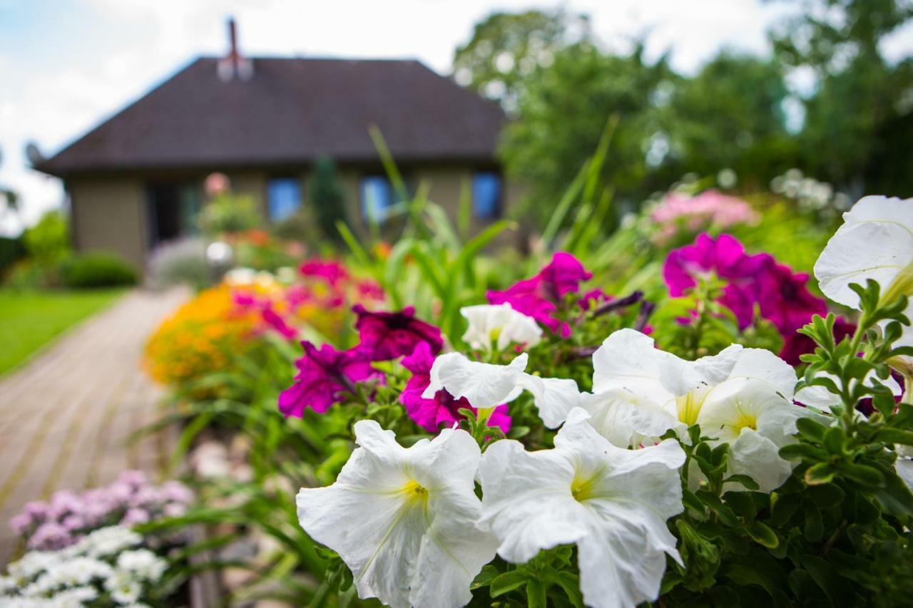 Guests House "Like Home" ซีกูลดา ภายนอก รูปภาพ